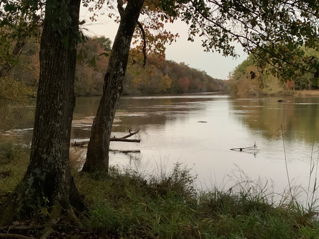 Late fall on the Flint River, GA